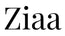 Translation missing: en.Ziaa accessibility.home