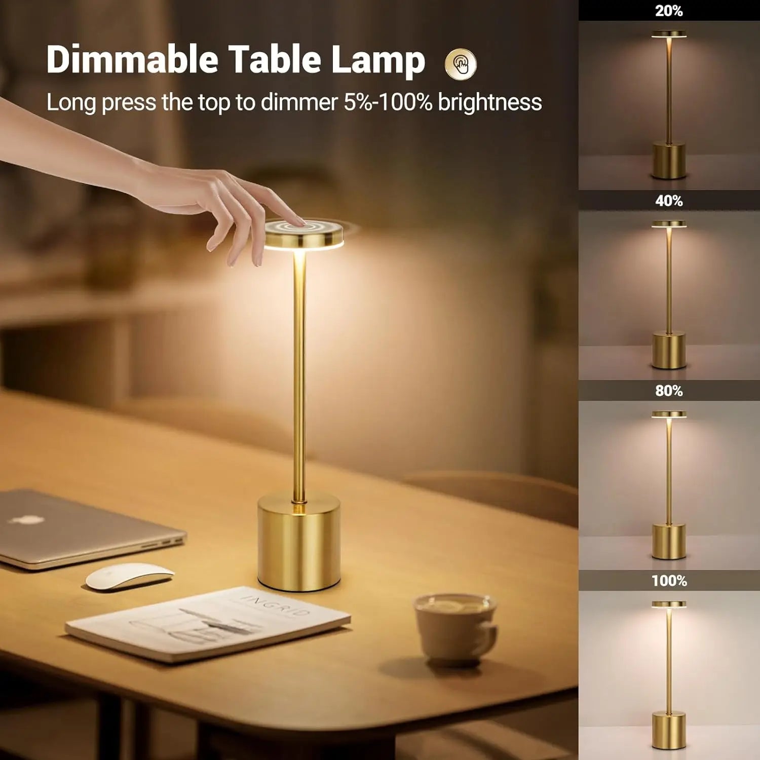Ziaa LED Lamp