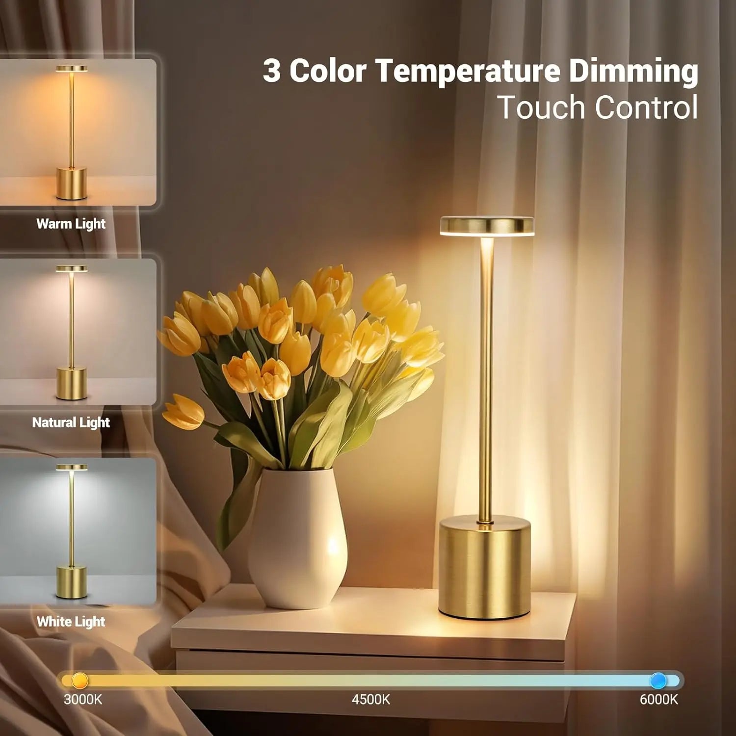 Ziaa LED Lamp